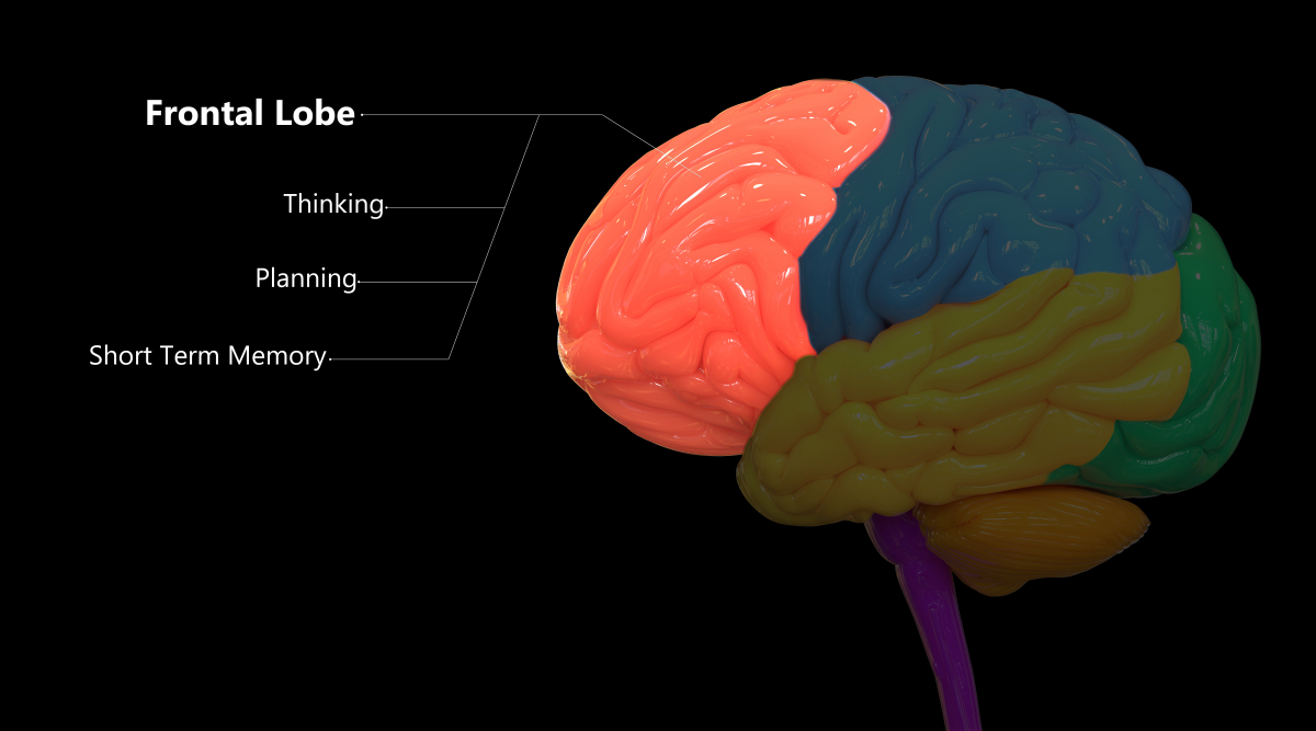 Phineas Gage | Howard Brain Sciences Foundation