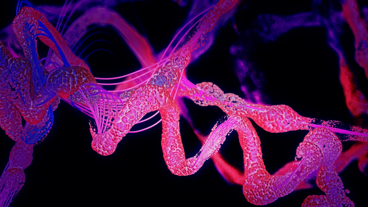 Amino Acids and Brain Health Howard Brain Sciences Foundation