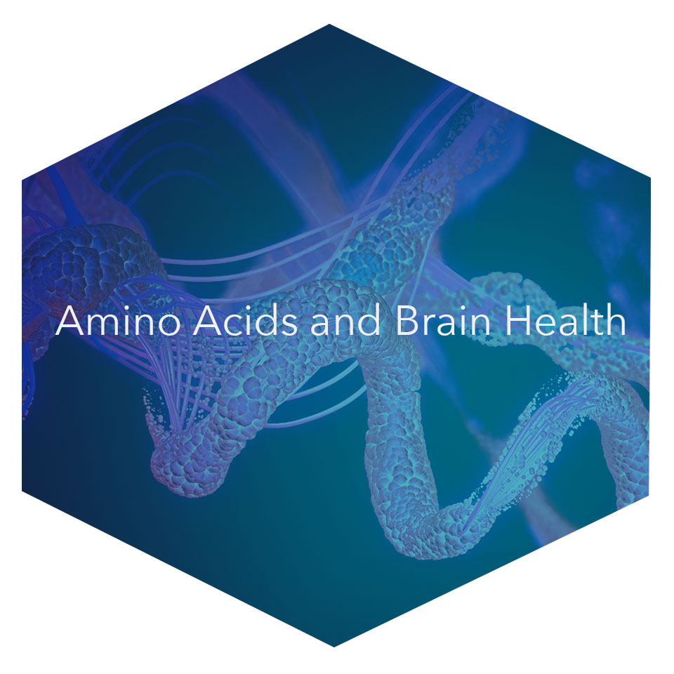 Amino Acids and Brain Health Howard Brain Sciences Foundation